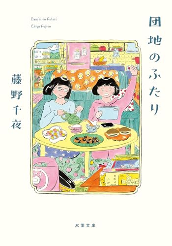 団地のふたり（藤野千夜）表紙